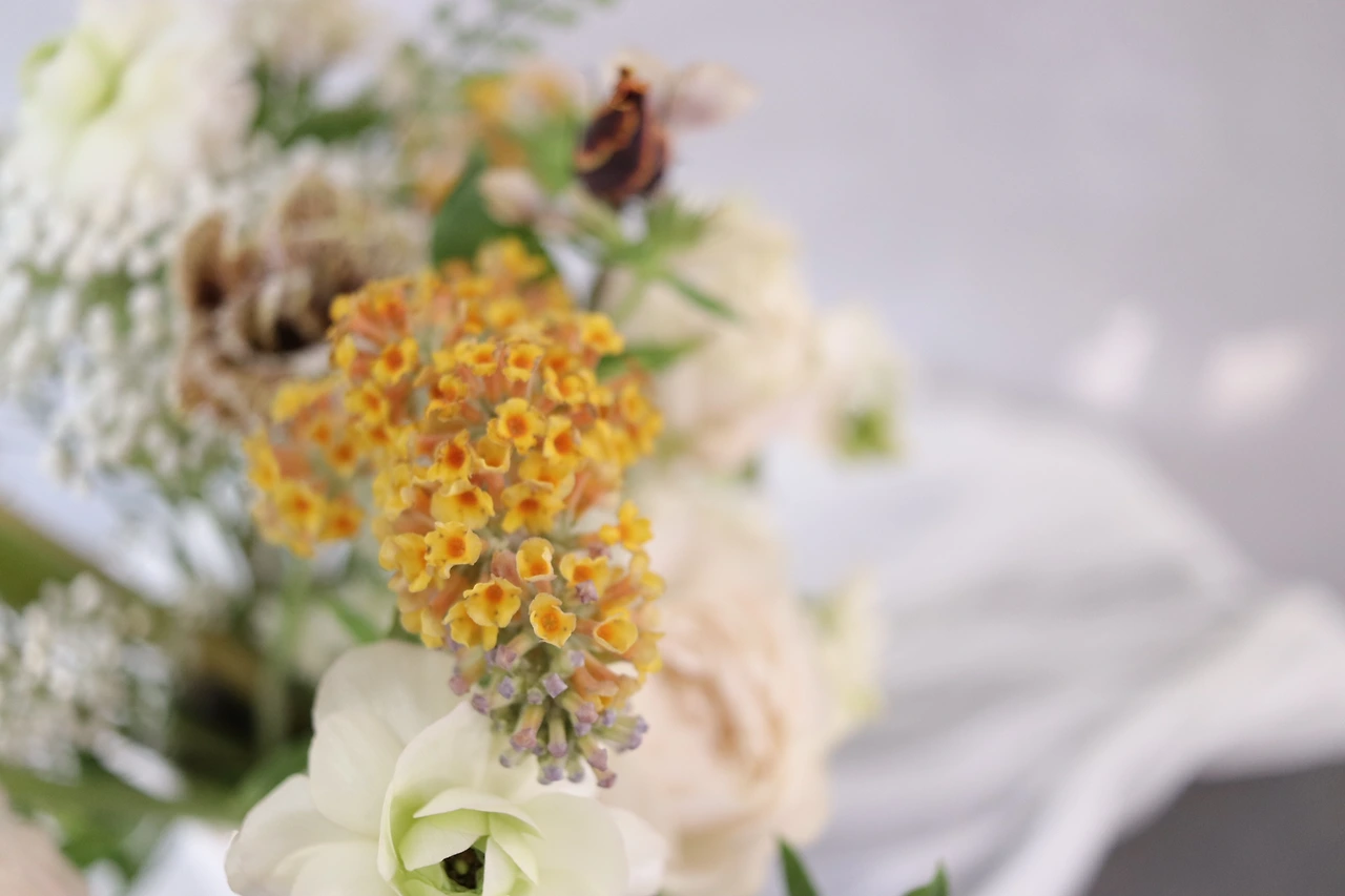 1-6 옐로우 라일락.JPG