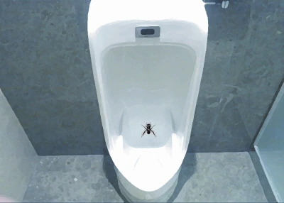 소변기 파리.jpg