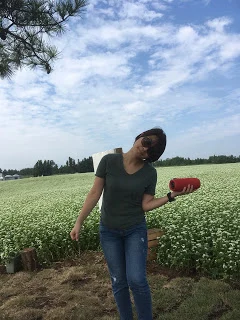 85ffea2d-2f57-47e9-a5d9-ba0d408785e3