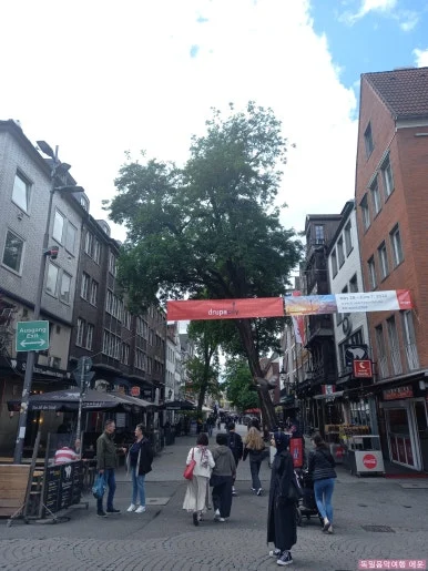 SE-d9407041-fa05-4225-b732-caa3225f94d3.jpg?type=w386