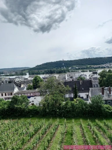 SE-200e7df4-b1f9-43c5-8838-d1df8e2341b3.jpg?type=w386