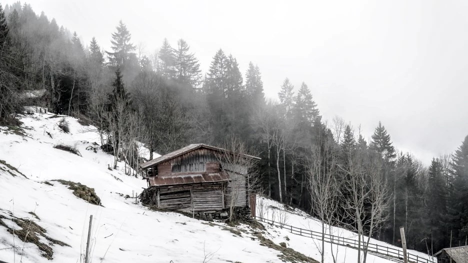 DSC07894.jpg?type=w1