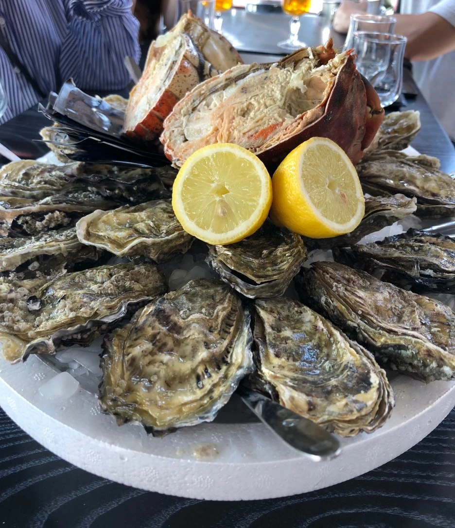 KakaoTalk_20190624_000214746.jpg?type=w1