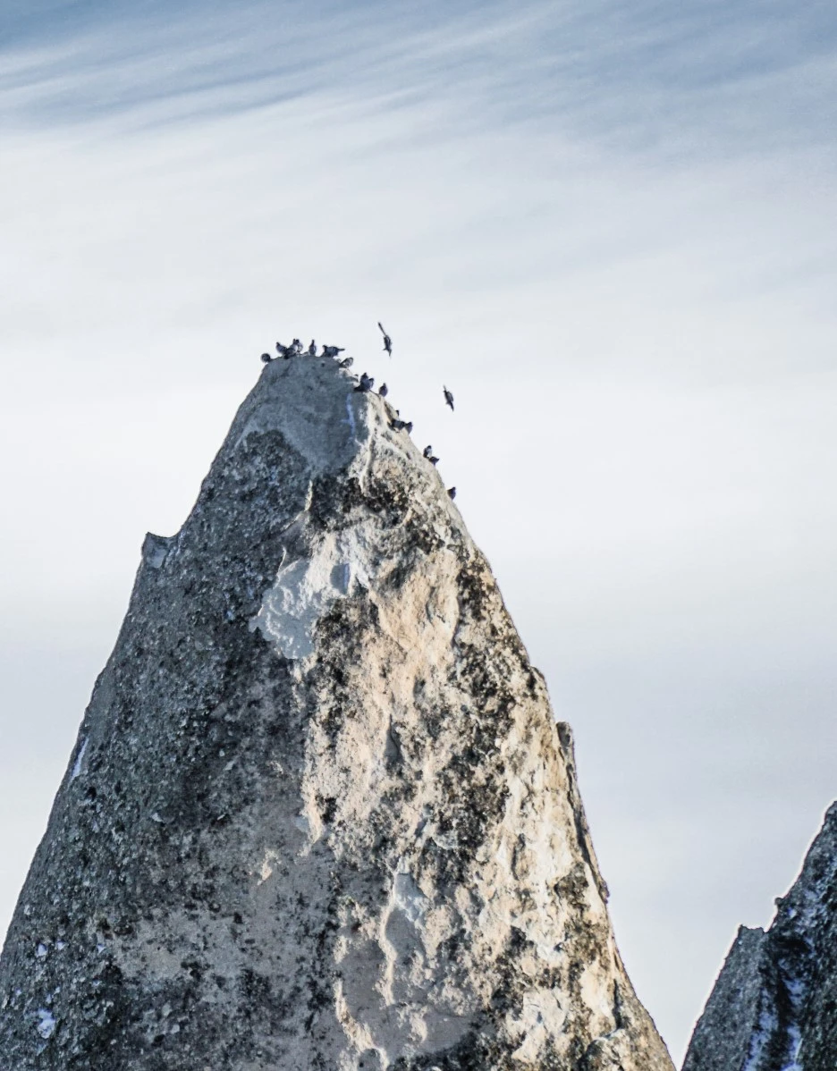 DSC06874.jpg?type=w1