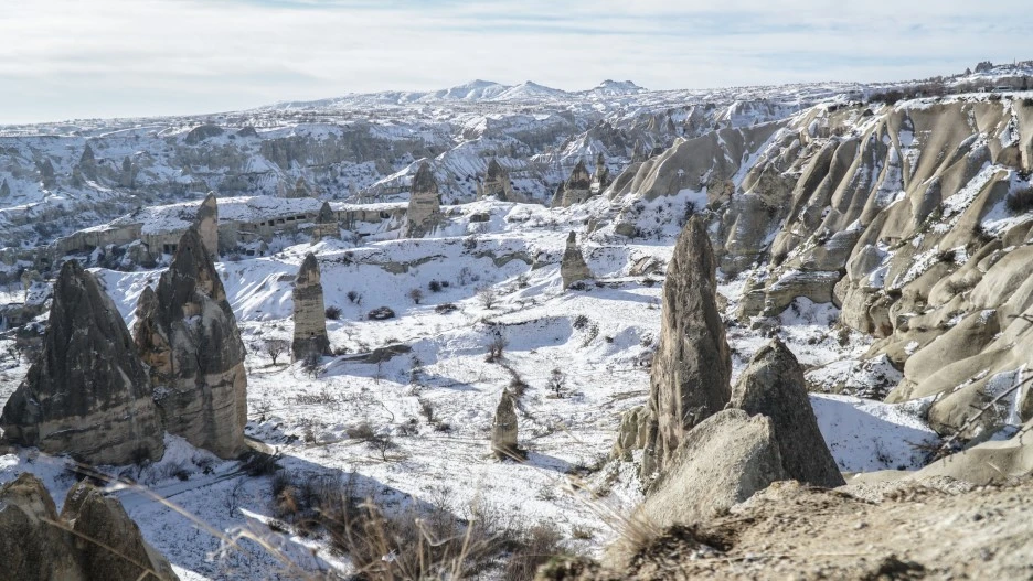 DSC07431.jpg?type=w1