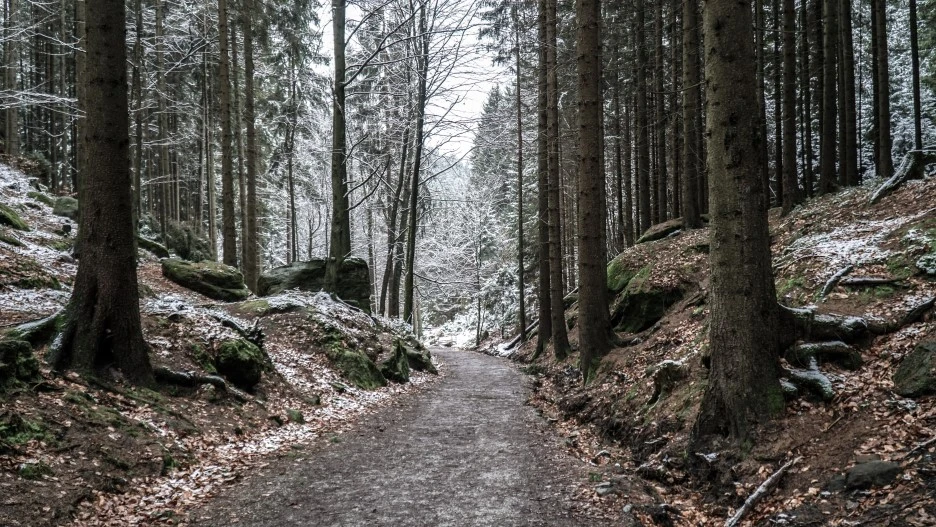 DSC00547.jpg?type=w1