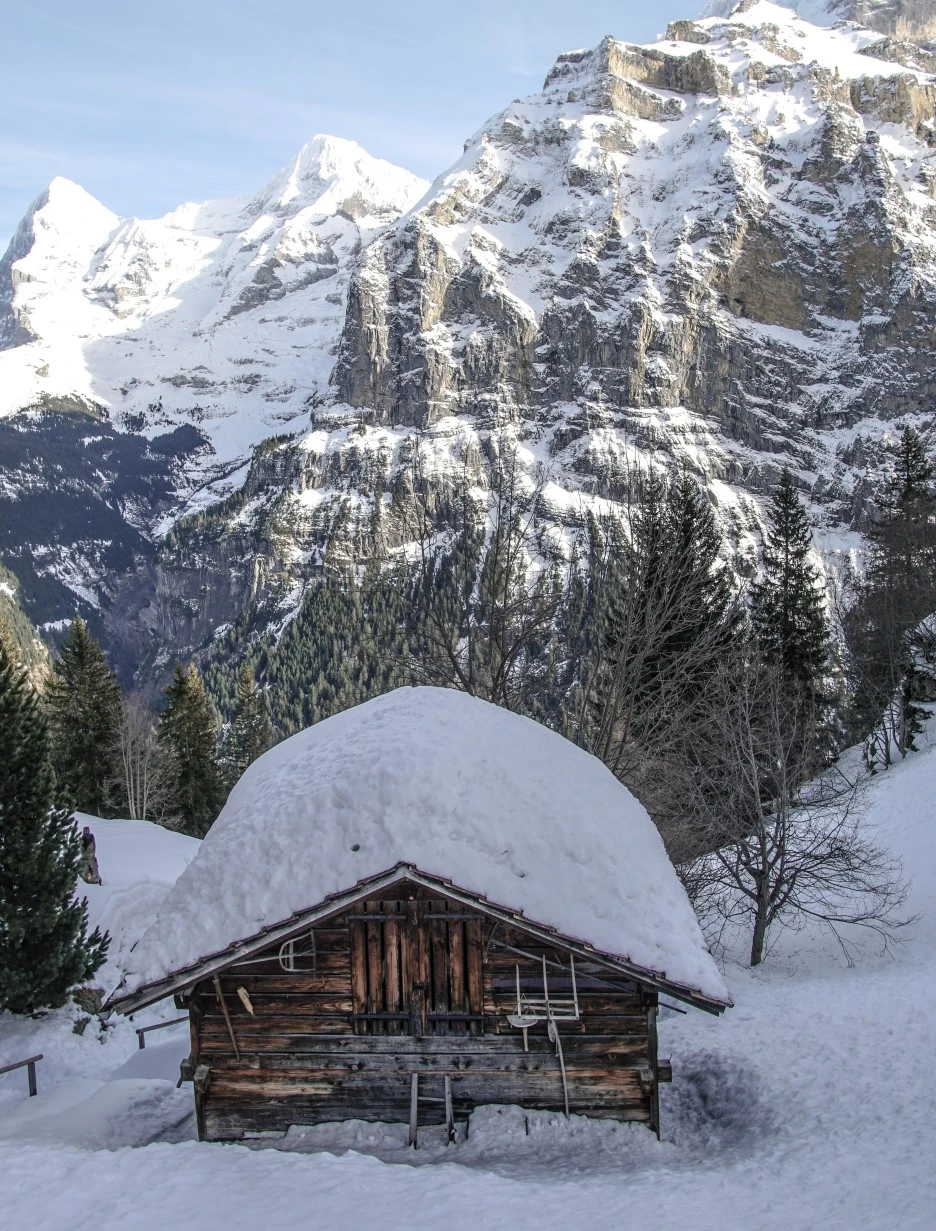 DSC08515.jpg?type=w1