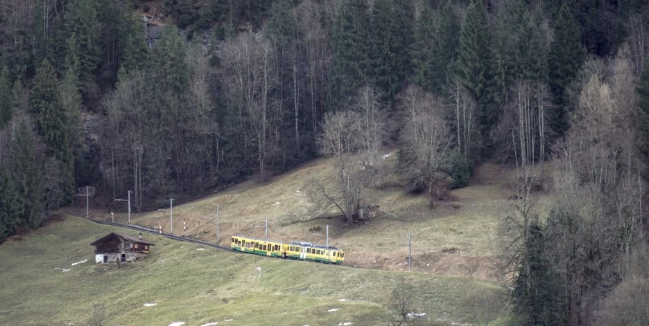 DSC07833.jpg?type=w1