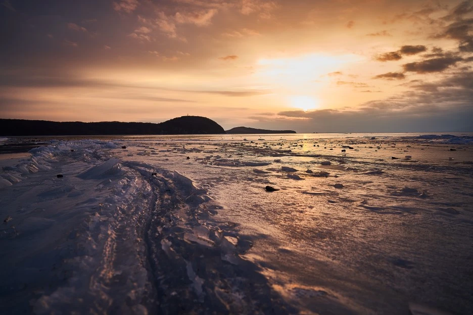 DSC00282.jpg?type=w1