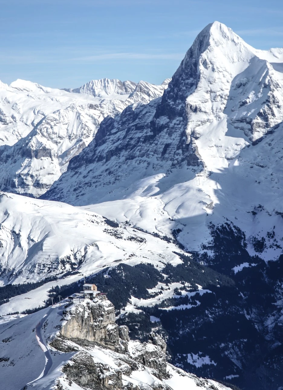 DSC08472.jpg?type=w1