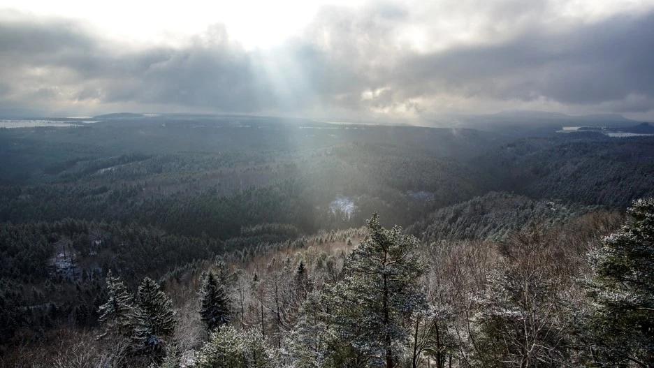 DSC00806.jpg?type=w1