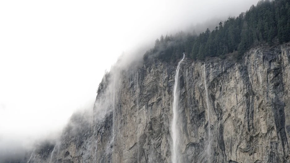 DSC08067.jpg?type=w1