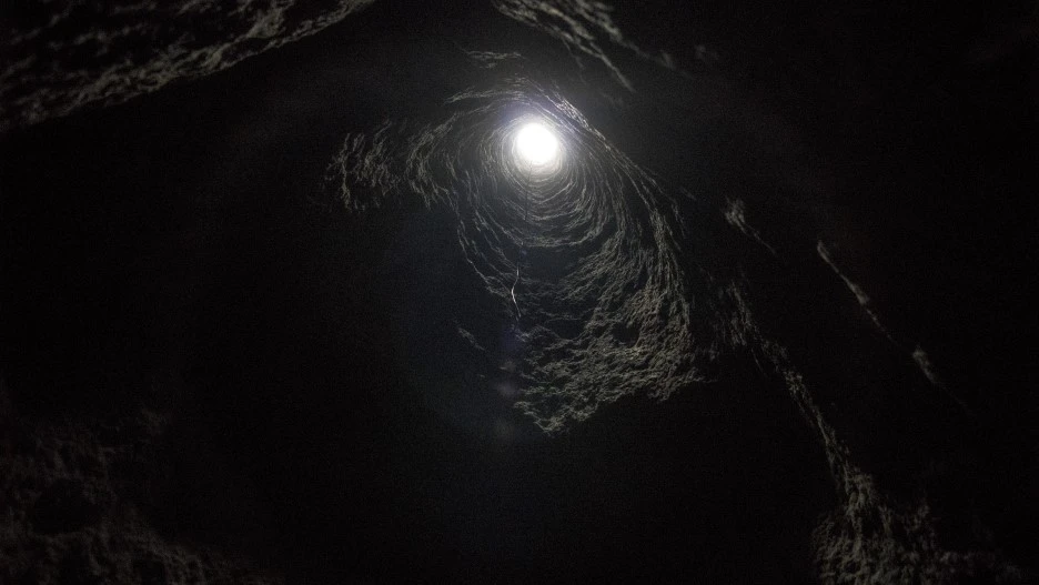 DSC07462.jpg?type=w1