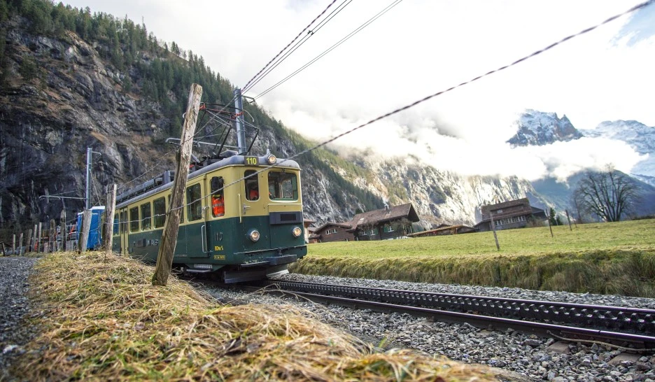 DSC08134.jpg?type=w1