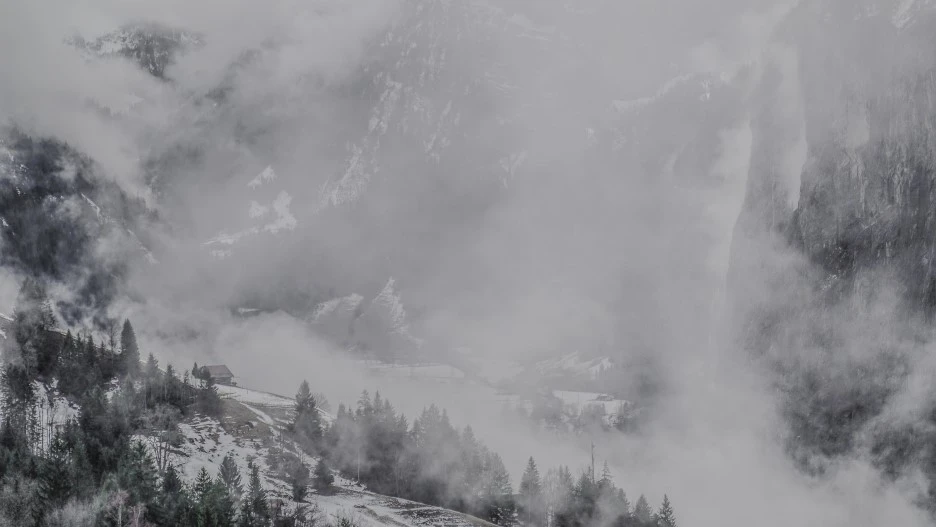 DSC07872-2-2.jpg?type=w1