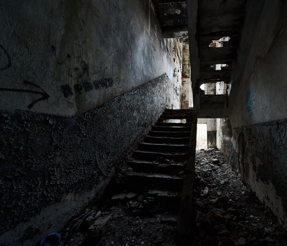 DSC01251.jpg?type=w1