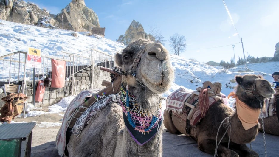 DSC07008_1-2.jpg?type=w1