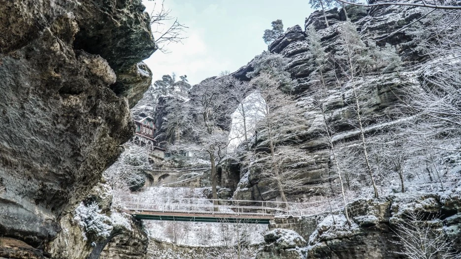 DSC00688.jpg?type=w1