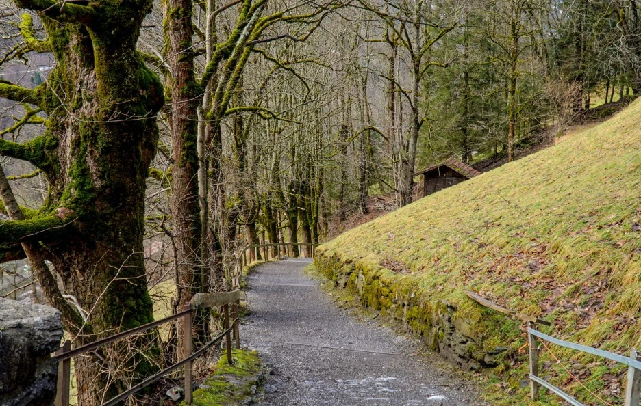 DSC07951.jpg?type=w1