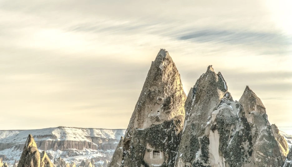 DSC06890-2.jpg?type=w1