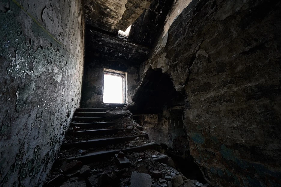 DSC00606.jpg?type=w1