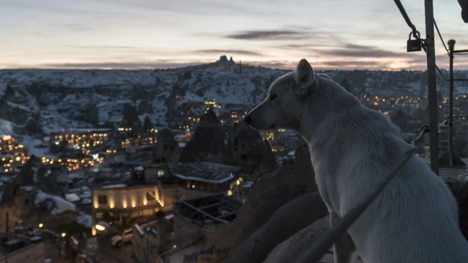 DSC07354.jpg?type=w1