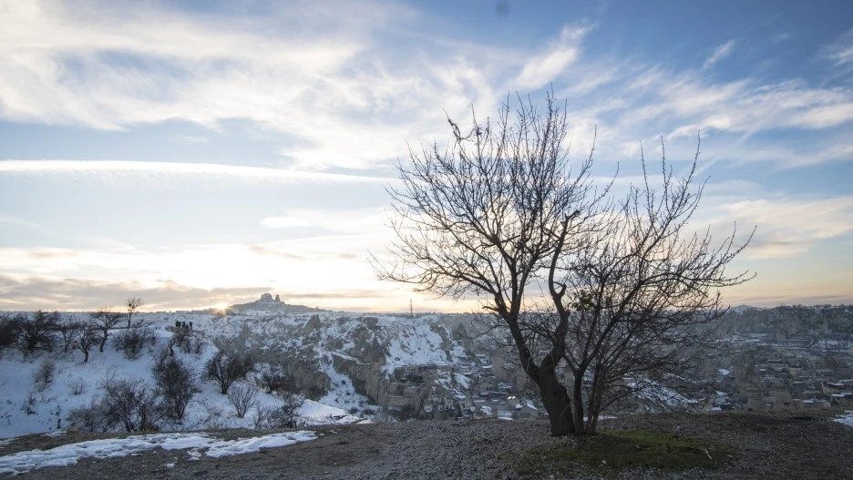 DSC07186.jpg?type=w1