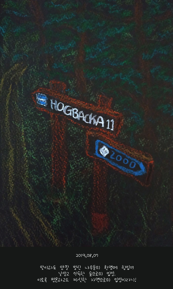 20190807.jpg-1_copy.jpg-1.jpg?type=w966