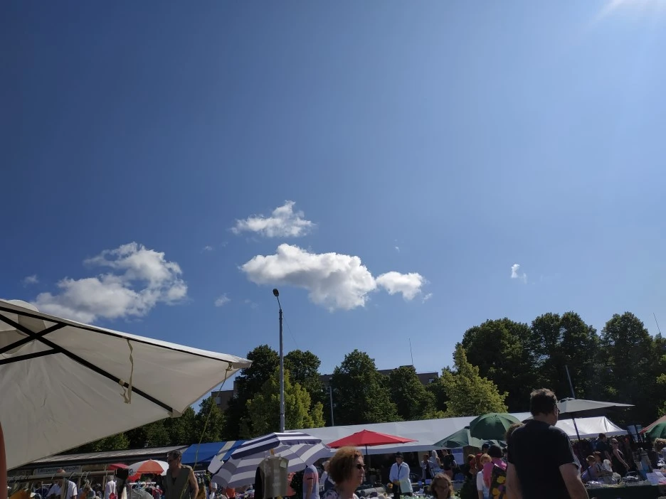 IMG_20190719_111118.jpg?type=w1