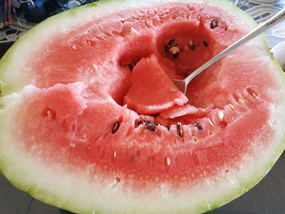 IMG_20190927_100448.jpg?type=w1