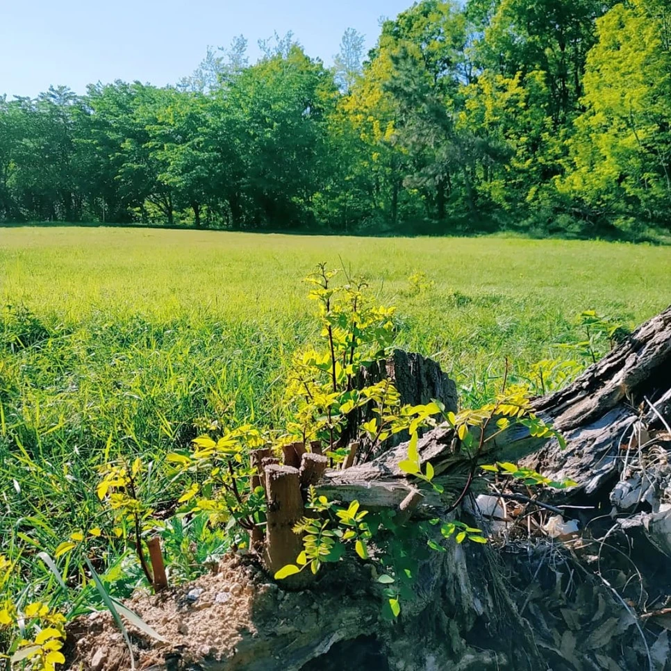 IMG_20210528_200002_491.jpg?type=w966