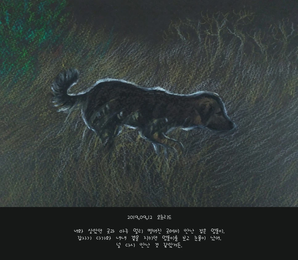 190912.jpg-1_copy.jpg?type=w966