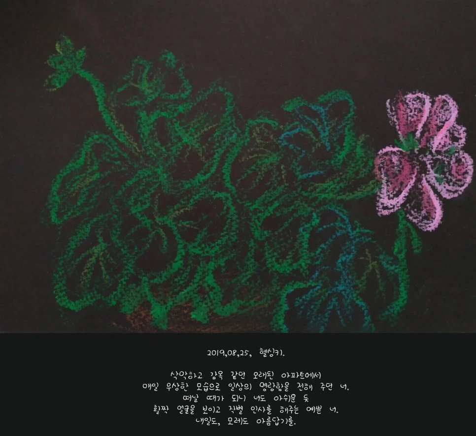 190823-1_copy.jpg?type=w966