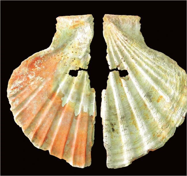 2766874559637DDF3317CF