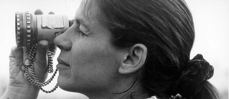 997E1A4E5B335FC5265246