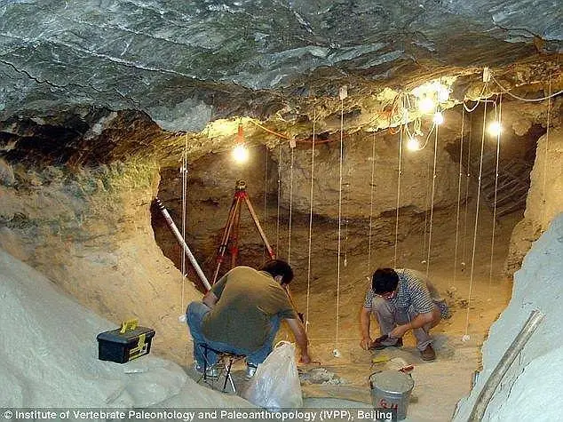 990900385A30C030256797