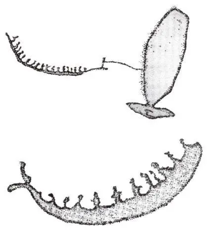 99C3A4435C96CA4828D1A6