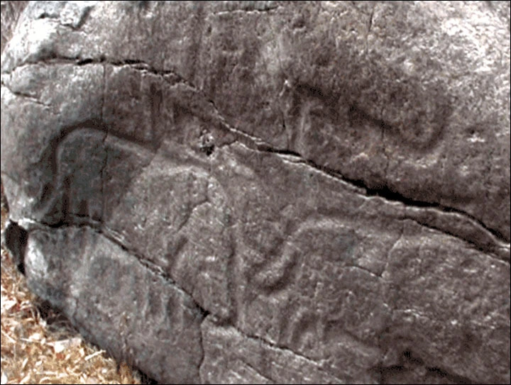 2605183C59631FD539DB80