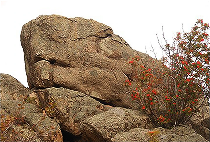 277FA14159128A1C06985B