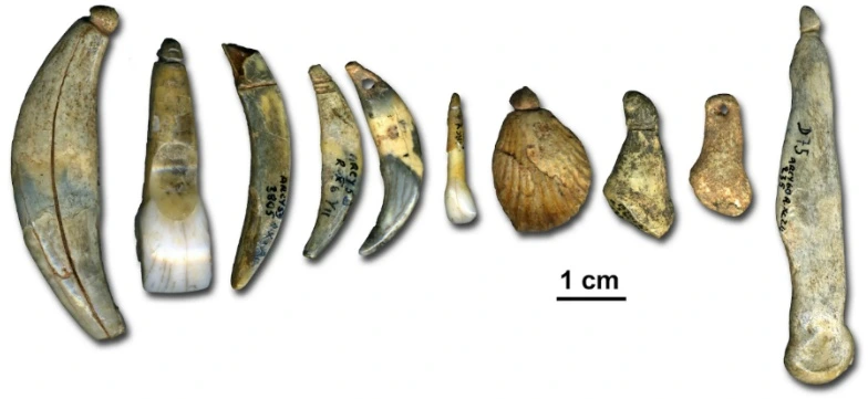 2152294459637A1237C755