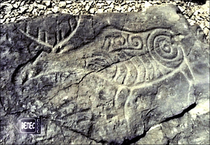 23416A43596322282E2379