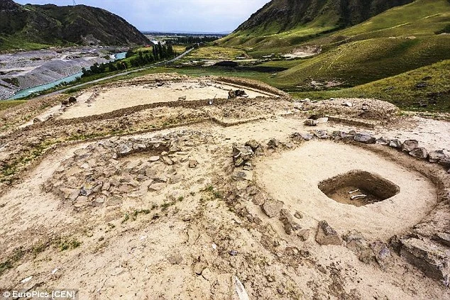 210156335907DF36218FFA