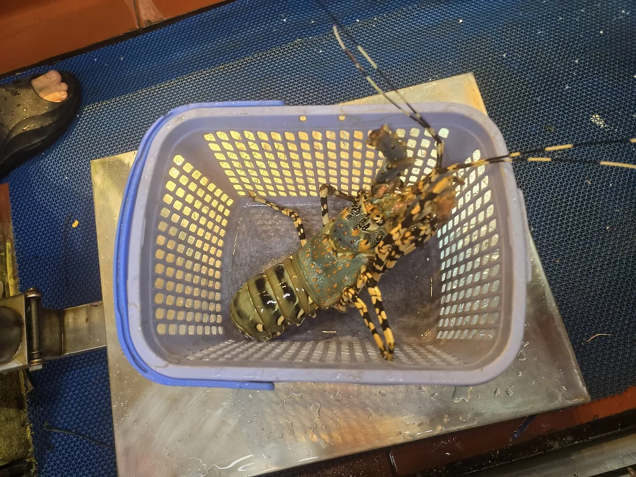 589602165_25465686859732057_8161808215932289735_n.jpg?stp=cp6_dst-jpegr_tt6&_nc_cat=102&ccb=1-7&_nc_sid=833d8c&_nc_ohc=_nInA42QpCcQ7kNvwEAV2_b&_nc_oc=Adl5ucq3-p84NarT9PF6lA1wU6mzwi5WUoxgww-DAk0m4UfAEVA7znEZJj4zKfzn67o&_nc_zt=23&se=-1&_nc_ht=scontent-ssn1-1.xx&_nc_gid=FcfPFwTXsXx_mrTdaNVS7w&oh=00_Afm4rQCM5AZSOlOxyVfU3salbO2DOMntWUDYJtHr_0n0nQ&oe=6937E20C