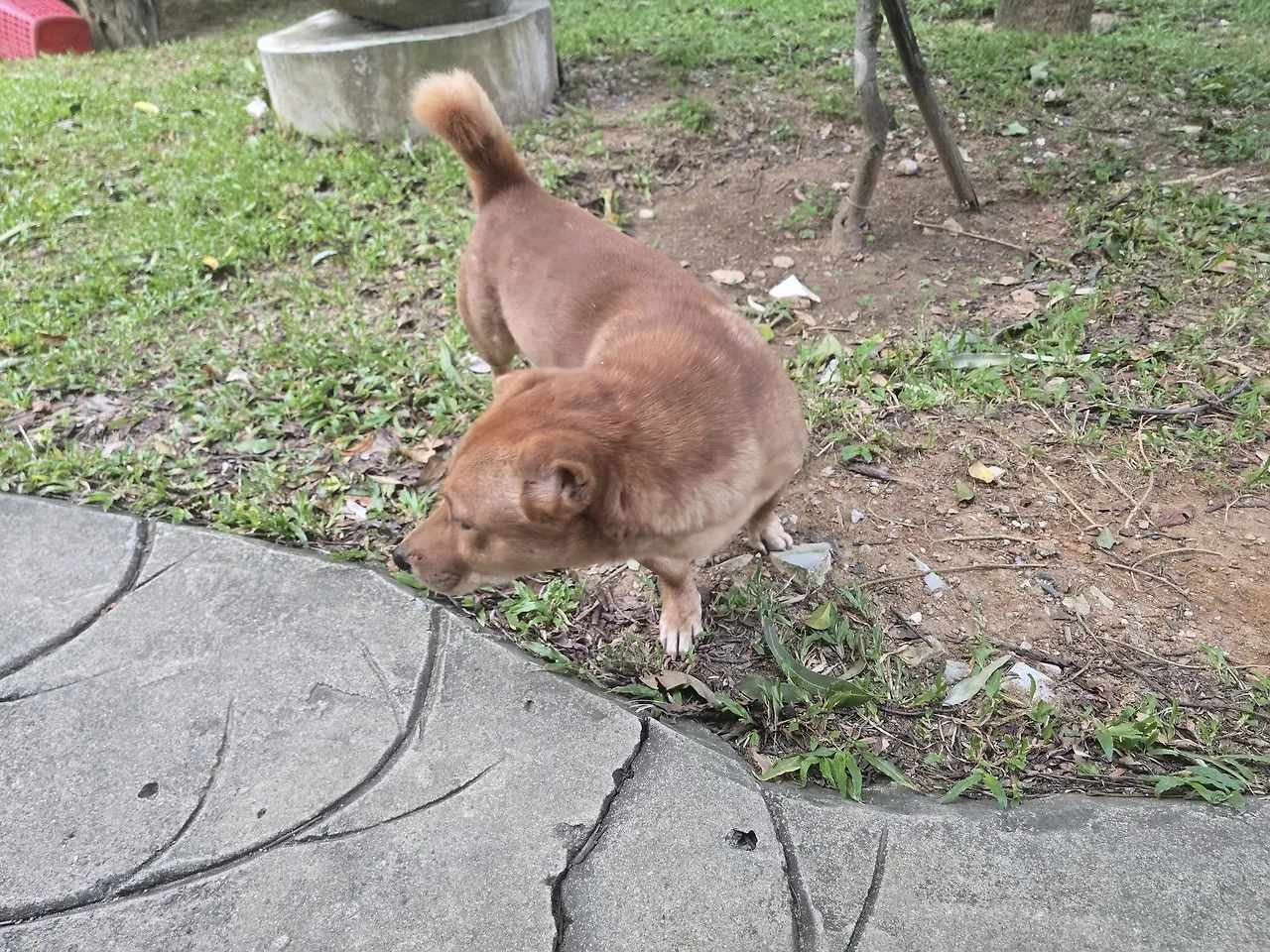 593339702_25484248471209229_6843668468556932644_n.jpg?stp=cp6_dst-jpegr_tt6&_nc_cat=105&ccb=1-7&_nc_sid=833d8c&_nc_ohc=6jnwCid8CDgQ7kNvwG07xl4&_nc_oc=AdlZ4435cWZxFXUoa_9dKPfFX1Er8veUui9IjTxuflqLaMdnxMGPtc6VBwxgsZmLArw&_nc_zt=23&se=-1&_nc_ht=scontent-ssn1-1.xx&_nc_gid=o-OoNRYwk2jq9ARup4To_A&oh=00_AfnnkJQ3vu21-u-n_JrA7r3BFRgg7o9qqyDFGk5mfKiskQ&oe=6937C0DE