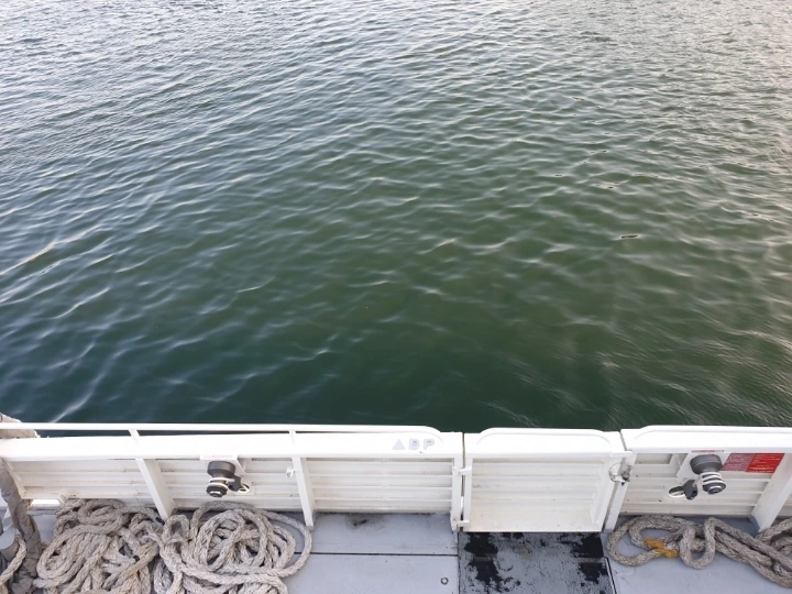 a29d58c0b033d44c4b7472f85ae6c0065074801a