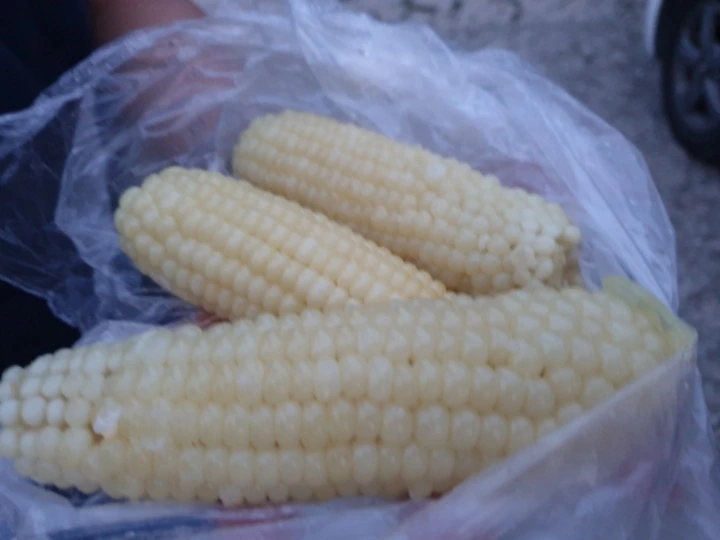 5270af3a7ba35c95096099ce0e1c71ade6416f3c