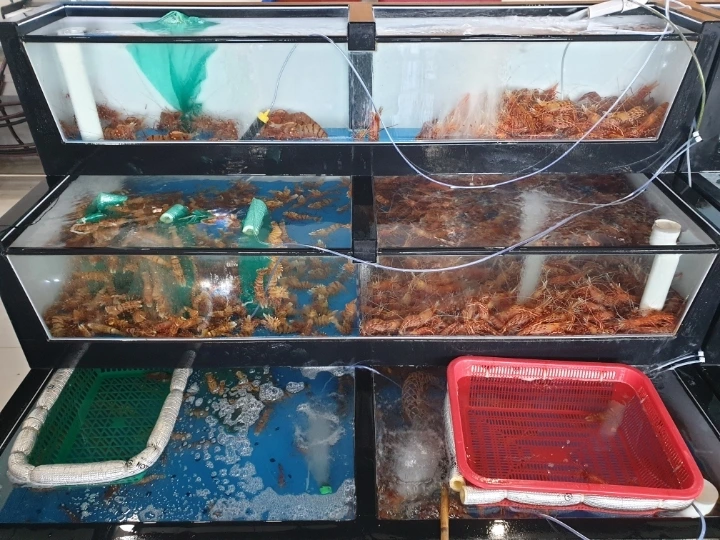 6eb2254457fb23f19c20bb68e1416c61b85f02fb