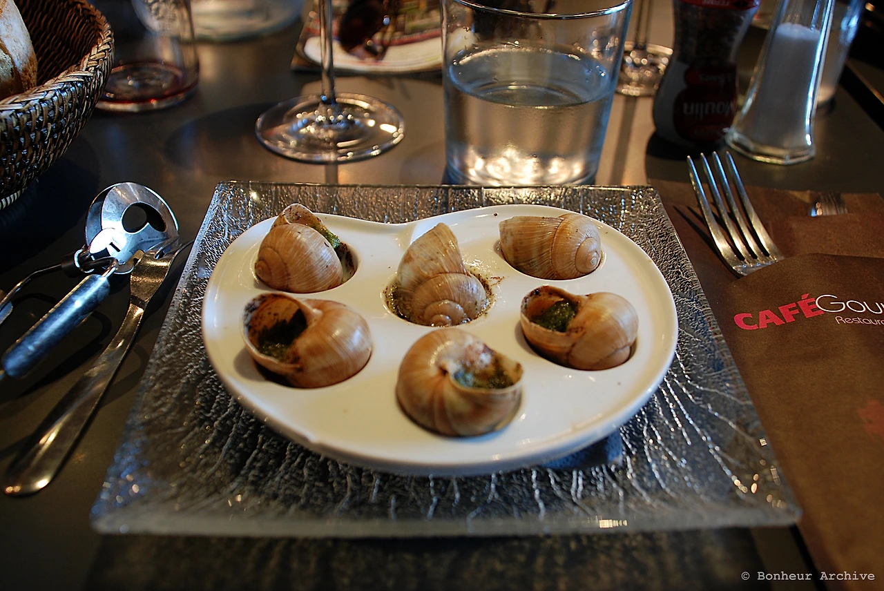 이미지 08.JPG