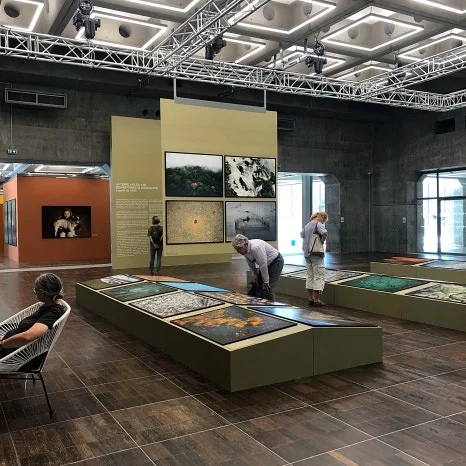 IMG_2515.jpg?type=w466