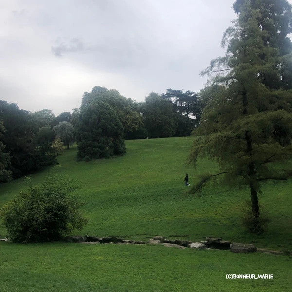 SE-764dc61c-8ecf-4c6e-9d82-7ca2ed8bf2db.jpg?type=w1